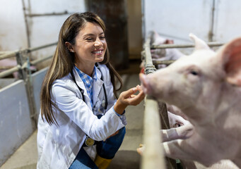 Veterinarian with piglets in pig pen
