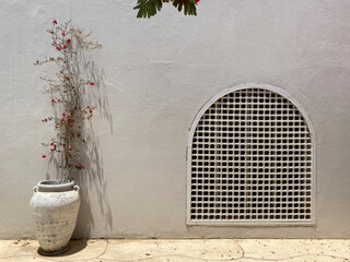 Mediterranean sea exterior composition with window wall pot flower and tree