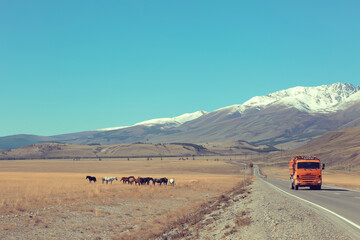 Altai mountain landscape, panorama autumn landscape background, fall nature view