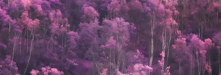 Printed roller blinds Aubergine pink nature landscape, spring background flowers park outdoors