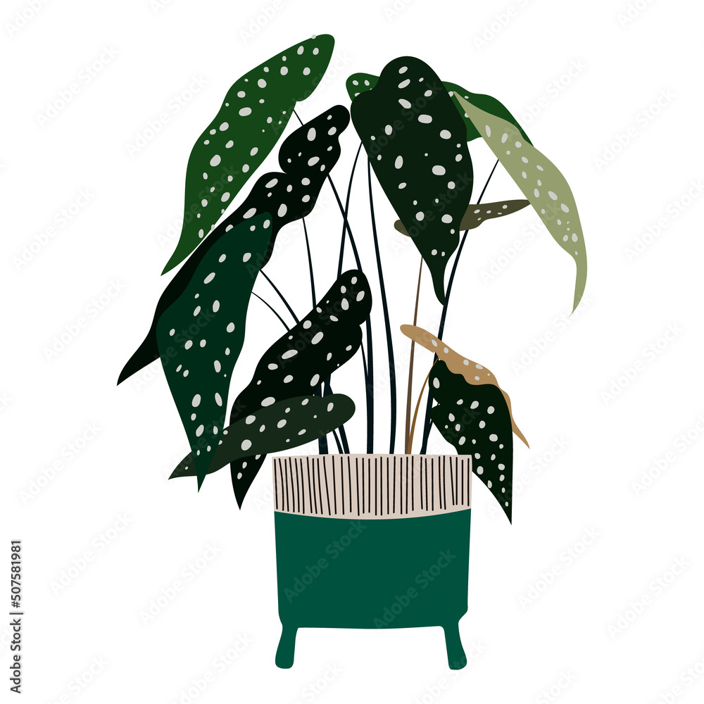 Wall mural A room plant in a bowl in a flat style. The vector image is highlighted on a white background. For room design and decoration.