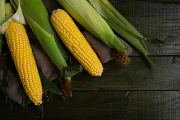 Overhead view of fresh sweet corn cob on wood copy space food