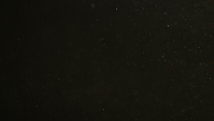 Dust particles floating in air with natural back light