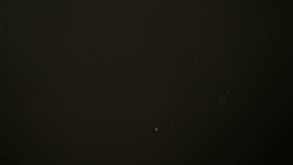 Dust particles floating in air with natural back light