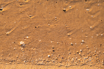 Golden sand and sea wave. Sea coastline. Background with place for text. Summer wallpapers. Ocean beach. 