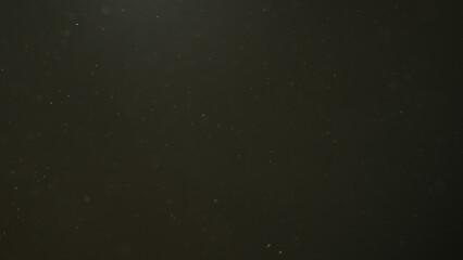 Dust particles floating in air with natural back light