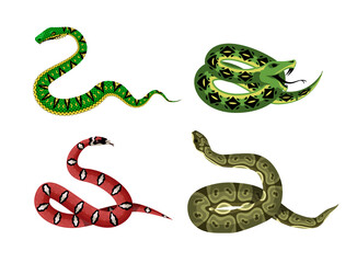 viper snake green reptile serpent
