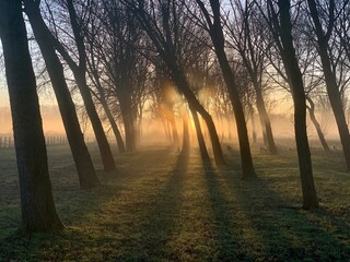 Early morning fog and sunrise