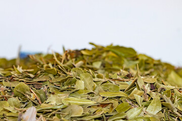 
Natural medicinal dried leaves of Saw Palmetto or Sabal serrulata ( Serenoa repens), to prevent prostate cancer, selective approach.