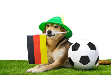 dog with tyrolean hat, german flag and soccer ball