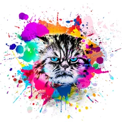 Rolgordijnen abstract colorful cat muzzle illustration, graphic design concept © reznik_val