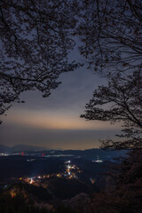 吉野山の夜景