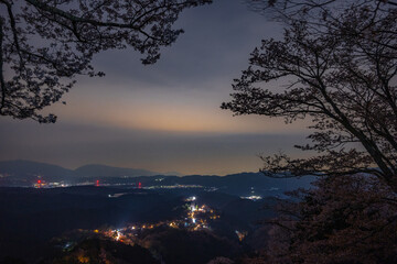 吉野山の夜景