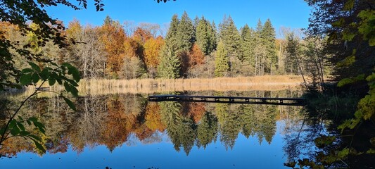 Natur