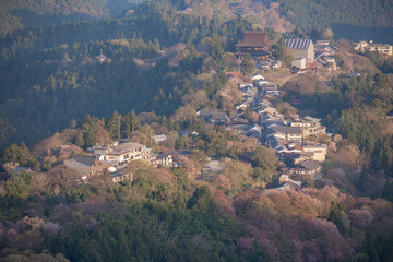 吉野山