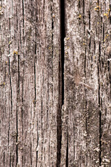 Brown wooden background, old boards with cracks