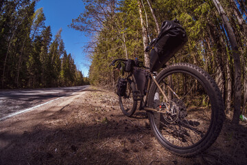 Bicycle with bags for transporting things on a trip