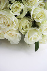 greeting card layout. bouquet of white roses