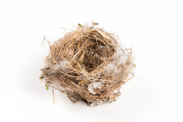empty bird's Nest isolated on white background.top view.