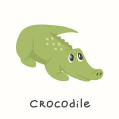 Cute young green crocodile on a white background. Child Vector illustration with animal in flat cartoon style. 