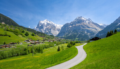 Fototapeta na wymiar road between alpine green meadows with Alps mountains in Grindelwald in Switzerland