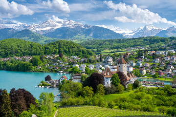 amazing view on Spiez town, Thun lake and Alps mountains in Switzerland - obrazy, fototapety, plakaty