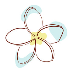 Flower plumeria line art in minimalism style