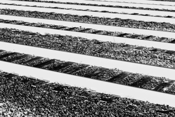 black and white background