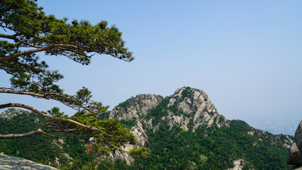 pico de la montaña lleno de grabaciones de mayo