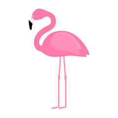Pink flamingo isolated on white background. Cartoon exotic bird clip art. Flat vector illustration wild fauna © Nadia Stam