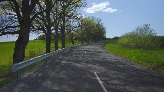 Gray asphalt winding road in the park in spring. Protective barriers on the side of the road. Oaks against the background of a green field with dandelions and an apple orchard. Warm spring day in
