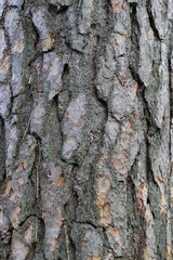 texture