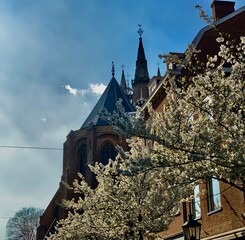 Blooming tree and church