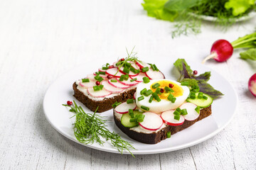 Healthy sandwiches with radish, cucumber, egg, curd cheese, sprinkled with green onions and pink pepper. Copy space