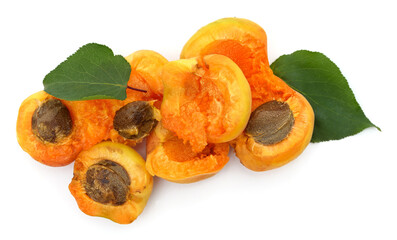 Apricots and pits with leaves.
