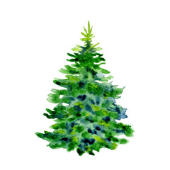 Watercolor lush spruce tree isolated on a white background