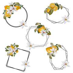 Watercolor Summer Lemon compositions, perfect to use on the web or in print