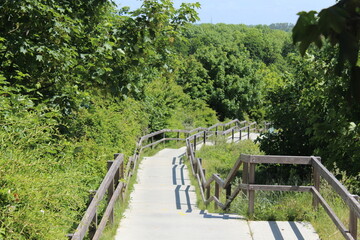 path in the dunes