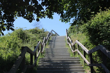 path in the dunes