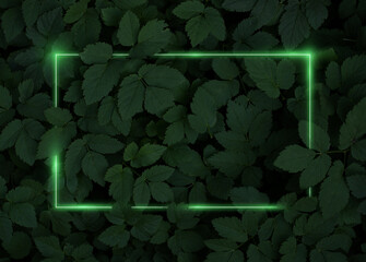 Neon frame with a bright glow on the background of green tropical plants, top view