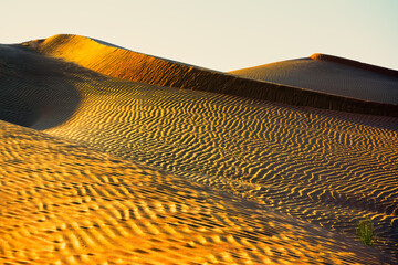 Rub al Khali aka Empty Quarter Desert, Oman.