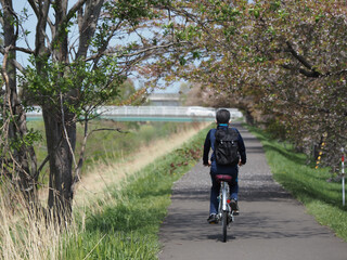 Bicycle on the bike path