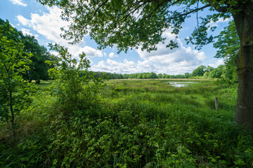 nature landscape of a pool in the forrest  in Weert near the Belgium border