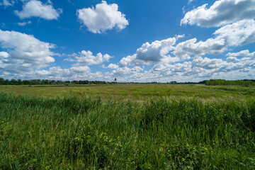 nature landscape in Weert near the Belgium border