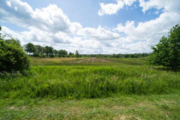 nature landscape in Weert near the Belgium border