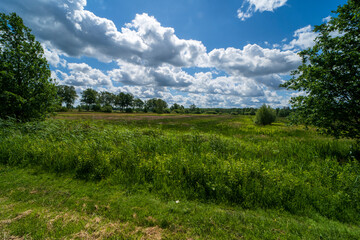 nature landscape in Weert near the Belgium border