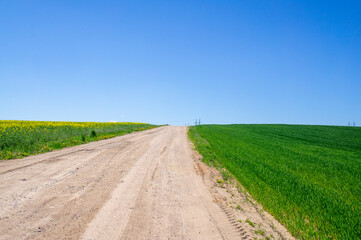 Beautiful summer agro landscape with a road, rapeseed fields and meadows