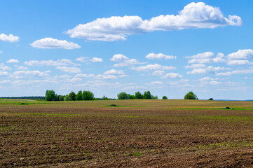 Fototapeta na wymiar Rural landscape with agro fields in spring