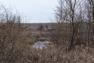 Obraz premium View of swamp. Polluted river, countryside.
