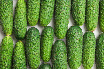 Fresh green cucombers as a background